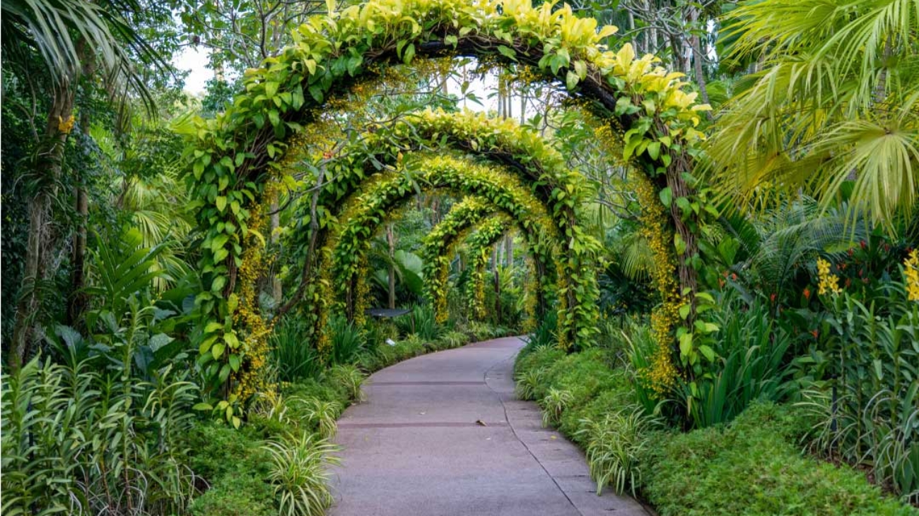 Simone_baricada_CSPA_giardiniere_prato_verde_pubblico_parco_sculture_colorate_giardino_fiori_arco